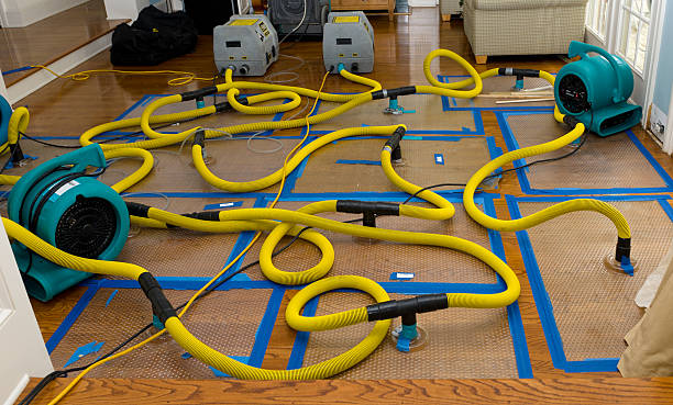 Professional Storm Water Damage Restoration technician working in Williston, ND